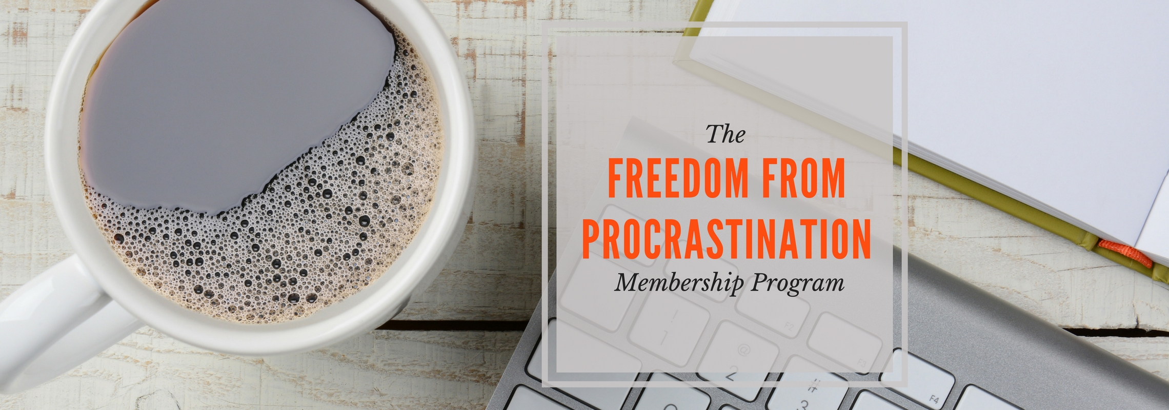 The Freedom from Procrastination Membership Program