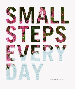 Small Steps