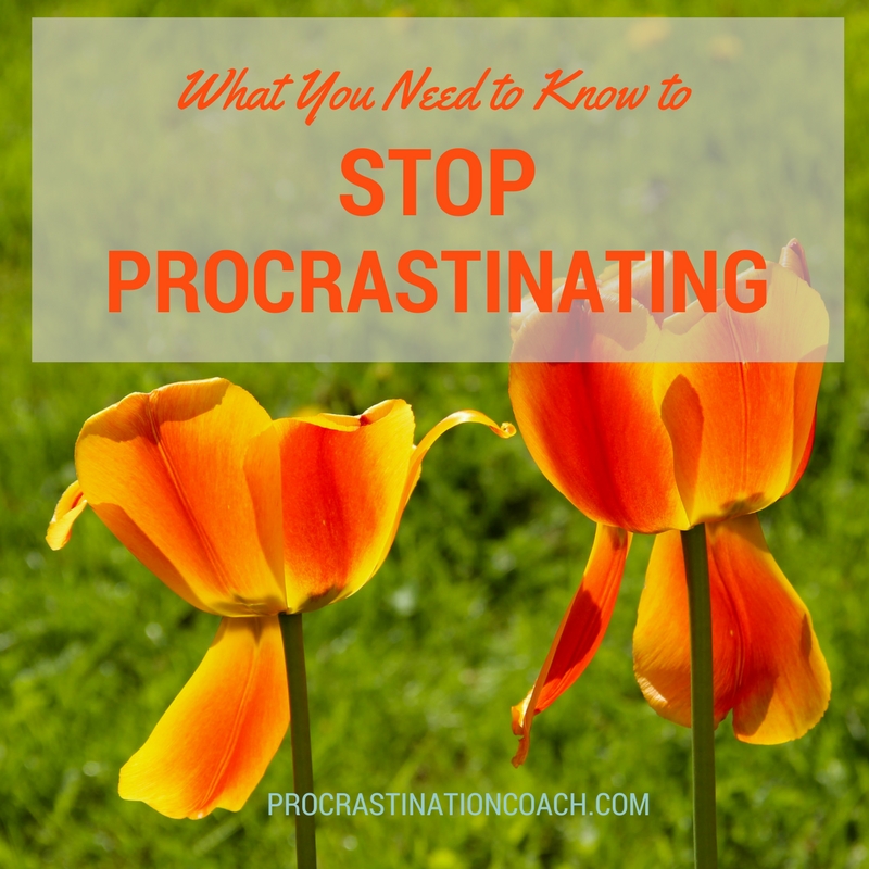 What you need to know to stop procrastinating