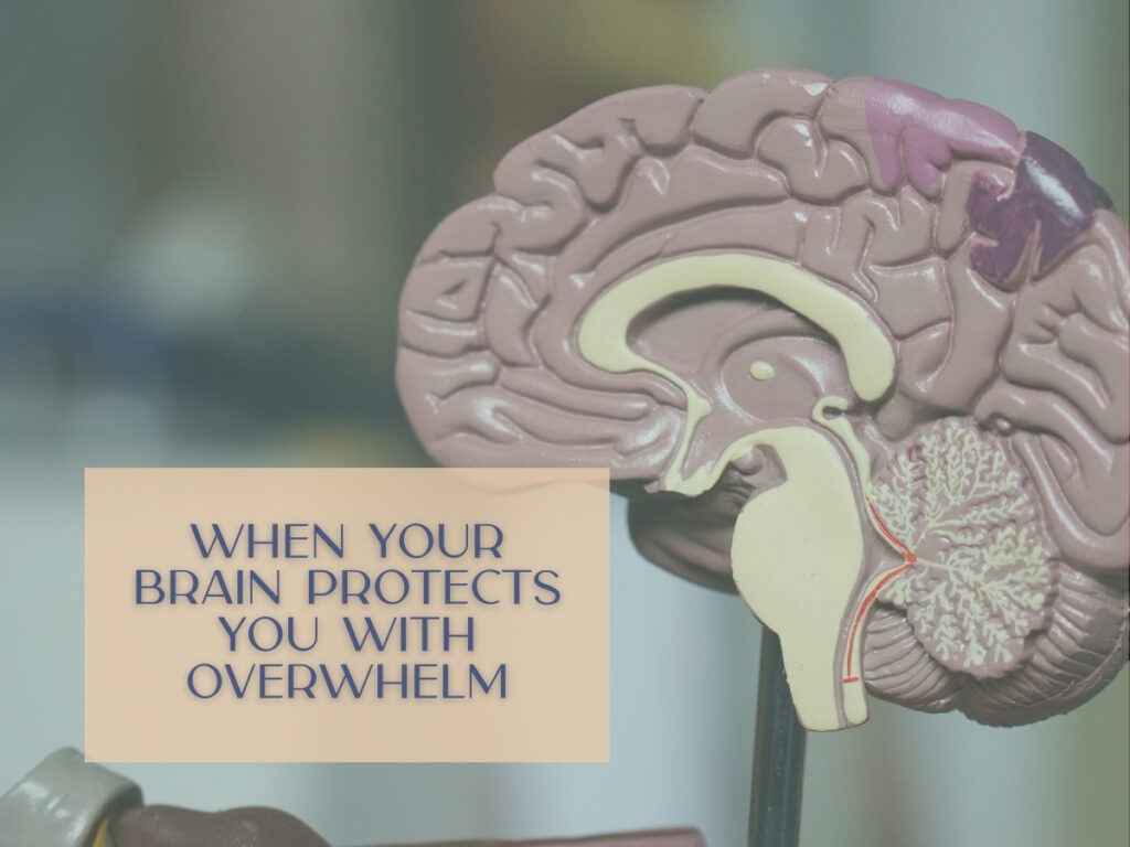 When Your Brain Protects You With Overwhelm