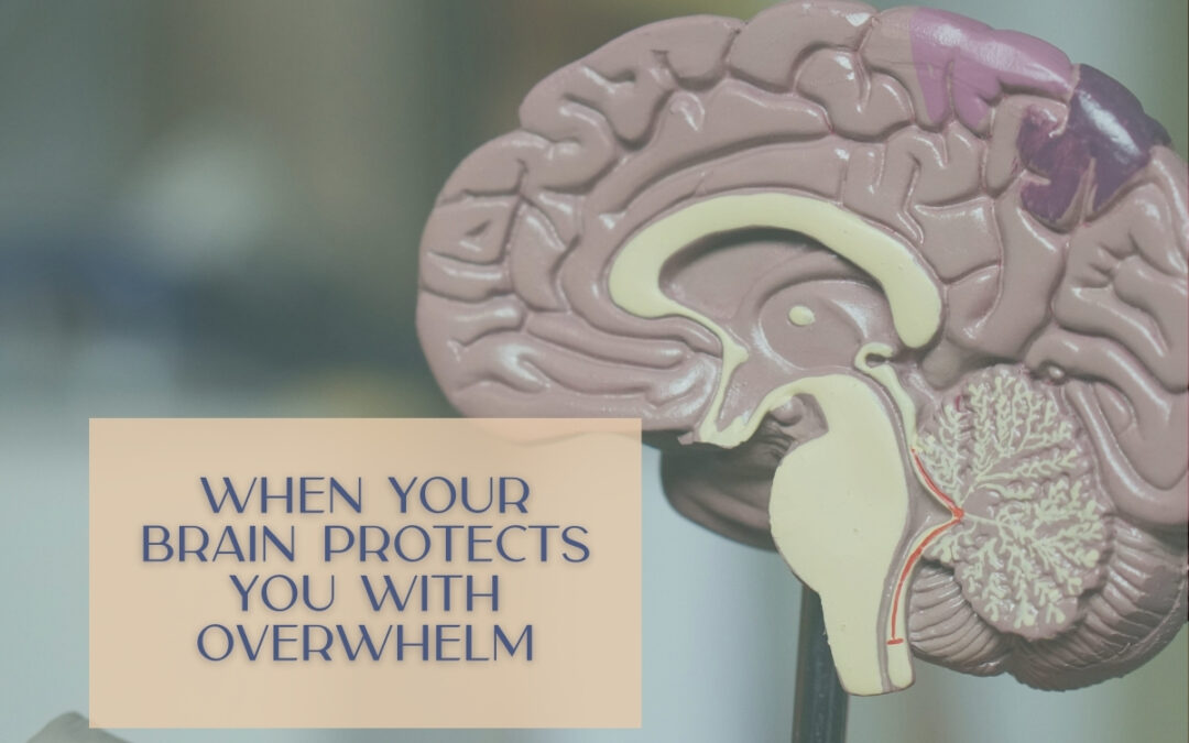 When Your Brain Protects You With Overwhelm